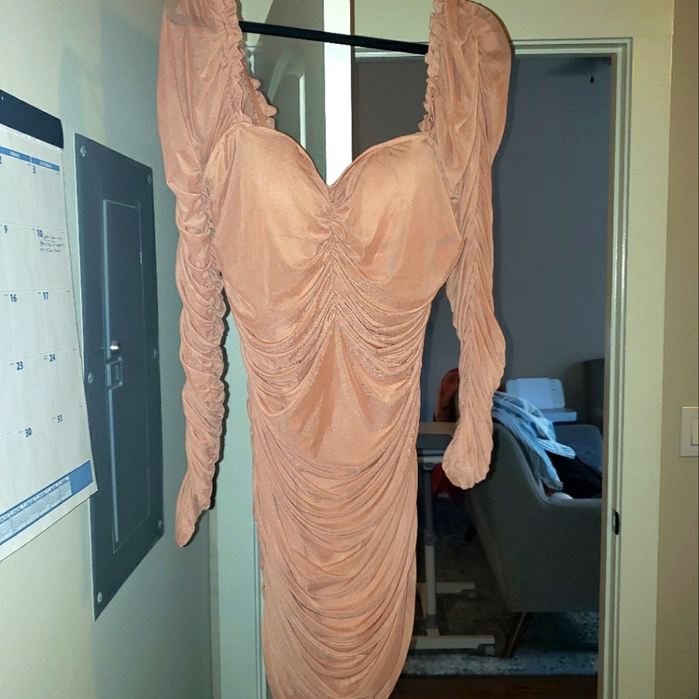 Ruched Long Sleve Mini Dress